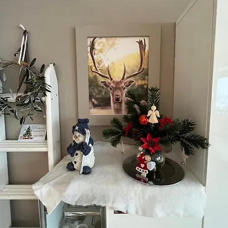 Atempause Im Harz Hohegeiss Mit Weitbllick Apartamento