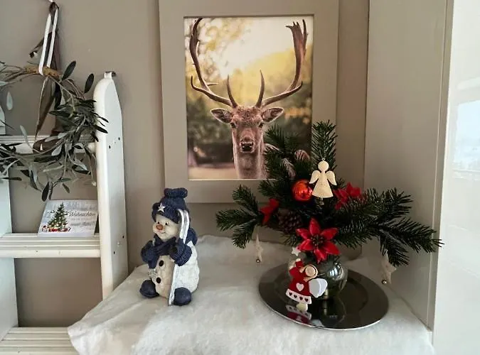 Atempause Im Harz Hohegeiss Mit Weitbllick Daire