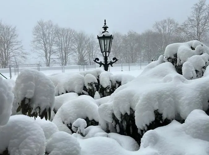 Atempause Im Harz Hohegeiss Mit Weitbllick *